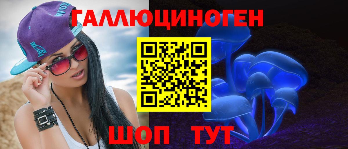 Псилоцибиновые грибы Psilocybe Усть-Илимск